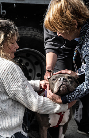 Animal Rescue.