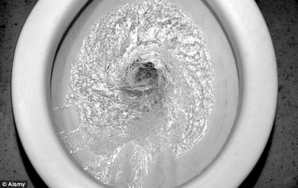 Toilets and Too Much – or Not Enough?