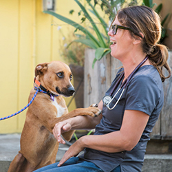 Dr. Christi Camblor, DVM